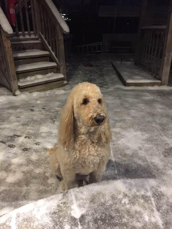 Someone likes this weather