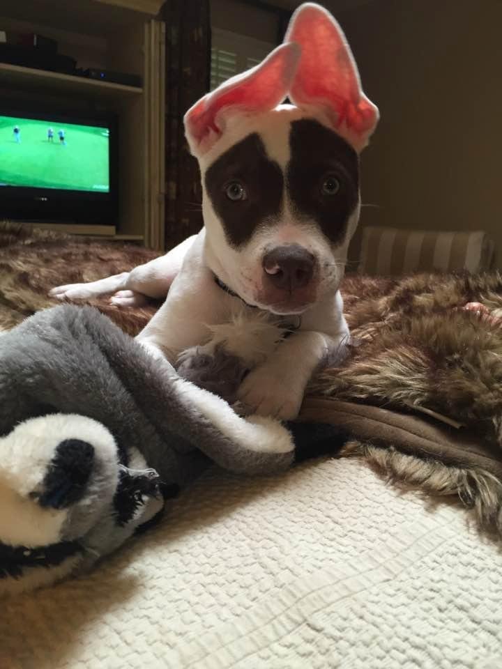 Magoo