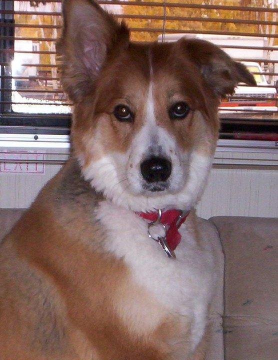 Brady with a trim
