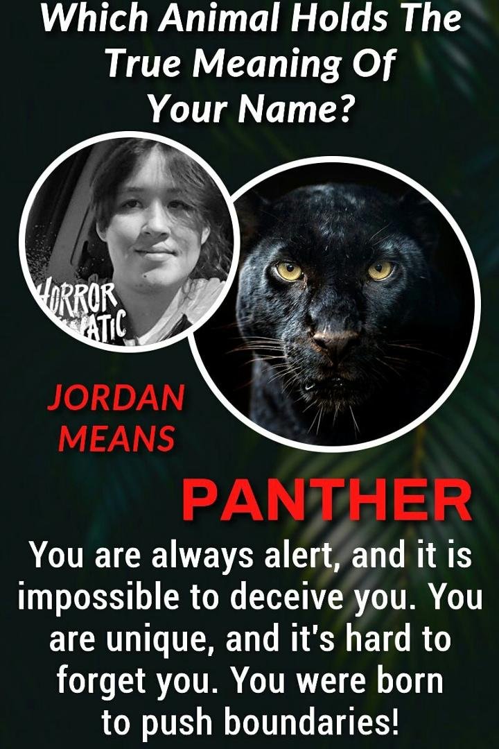 Jordan Gabel's album, Timeline Photos