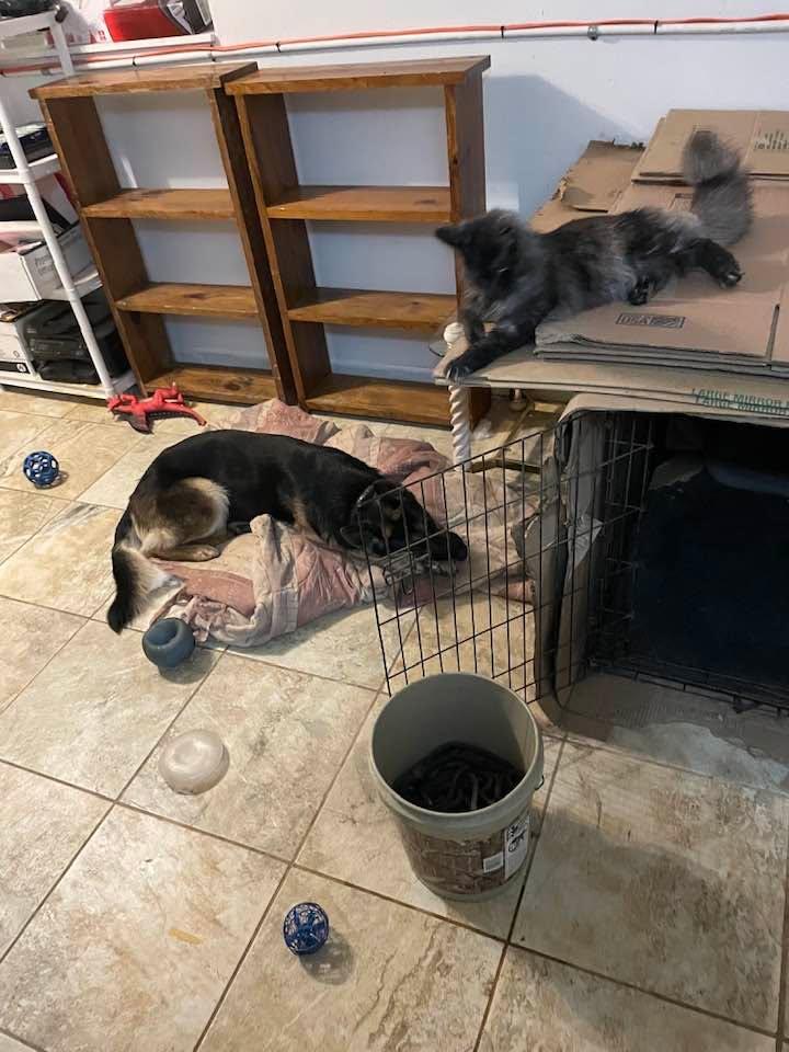 Part of the morning routine….