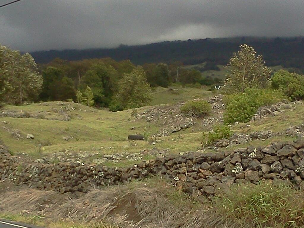 Upcountry botanic garden and wine tour today. Three thousand feet elevation and you'd think we were in Ireland. Much cooler here.
