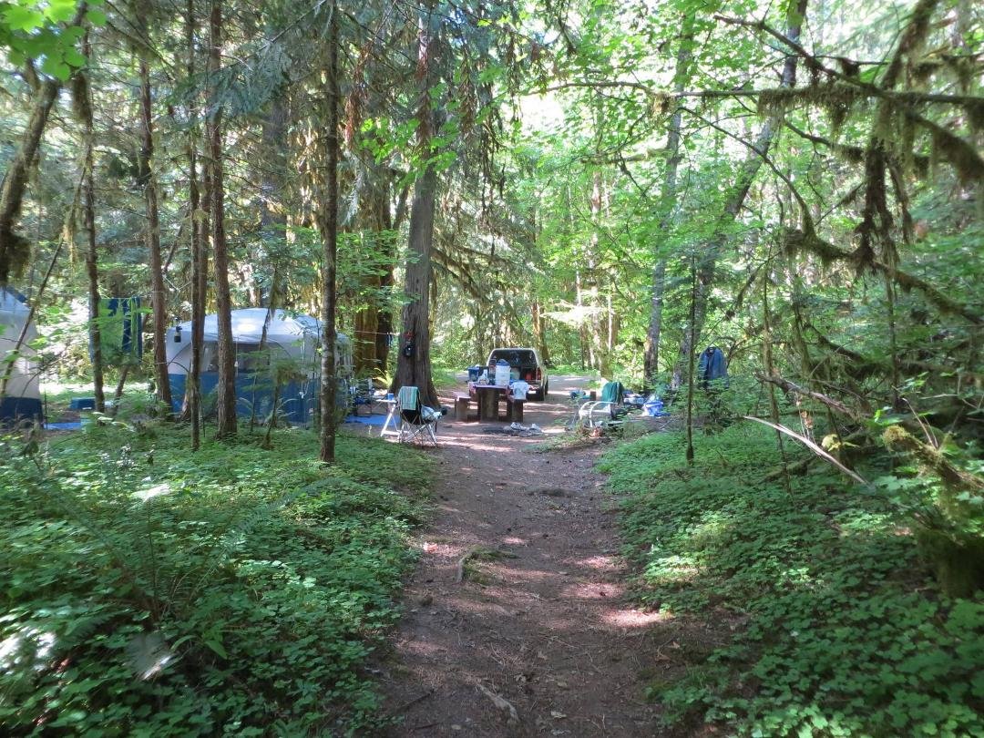 McKenzie River campground, OR.
