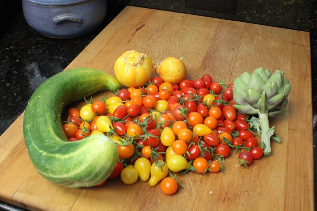 Today's harvest.