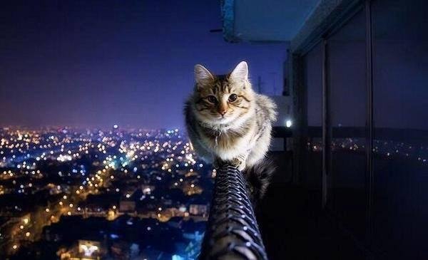 Fearless...and a little Crazy