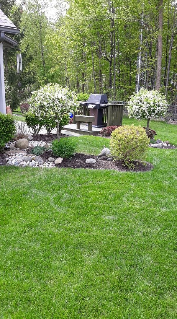 David Badger's album, Timeline Photos
