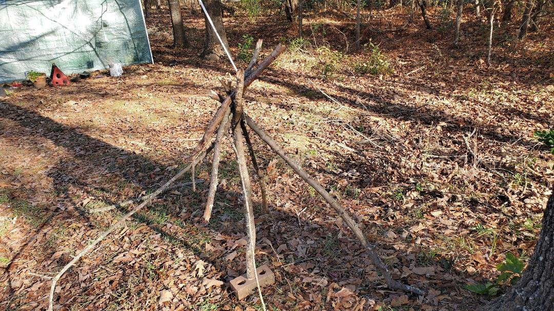 Billy is making good use of the limbs and sticks that fell out of the trees. Billy calls this his house. It's not finished yet.