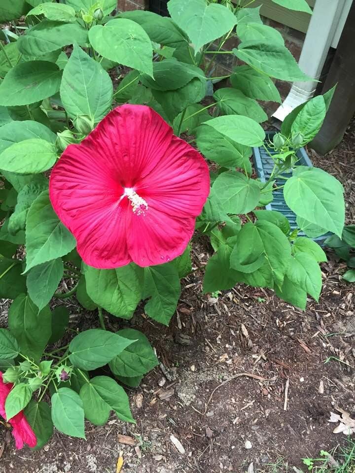 Robert Miller's album, Timeline Photos