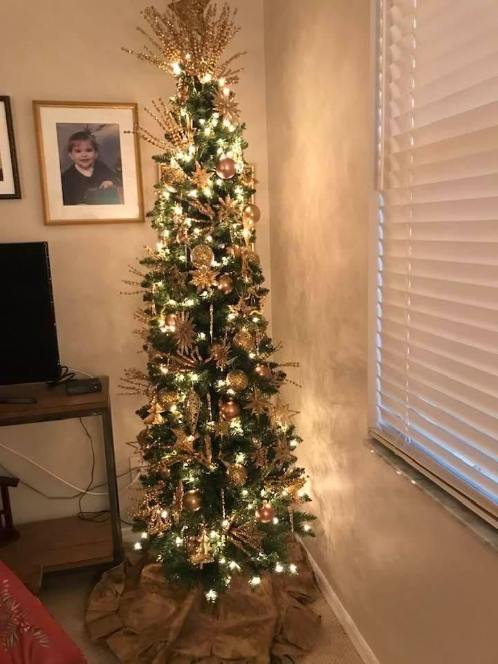 Penny Trees etc 2019