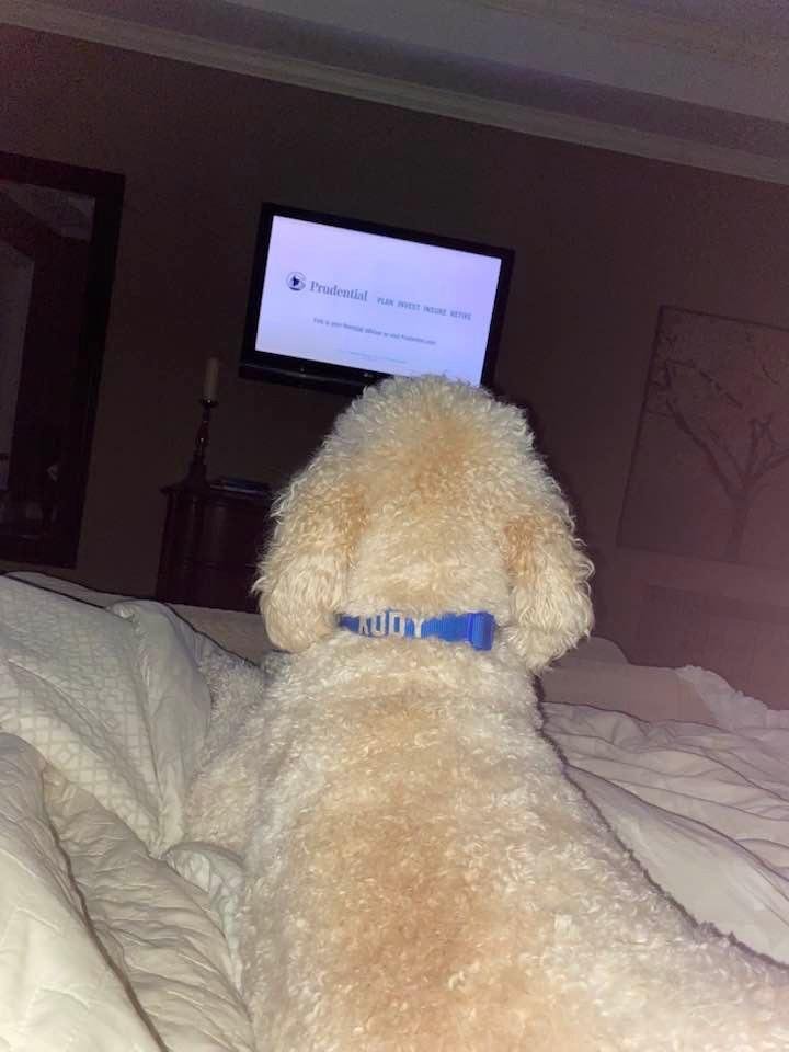 Kody catching up with the evening news. 😂