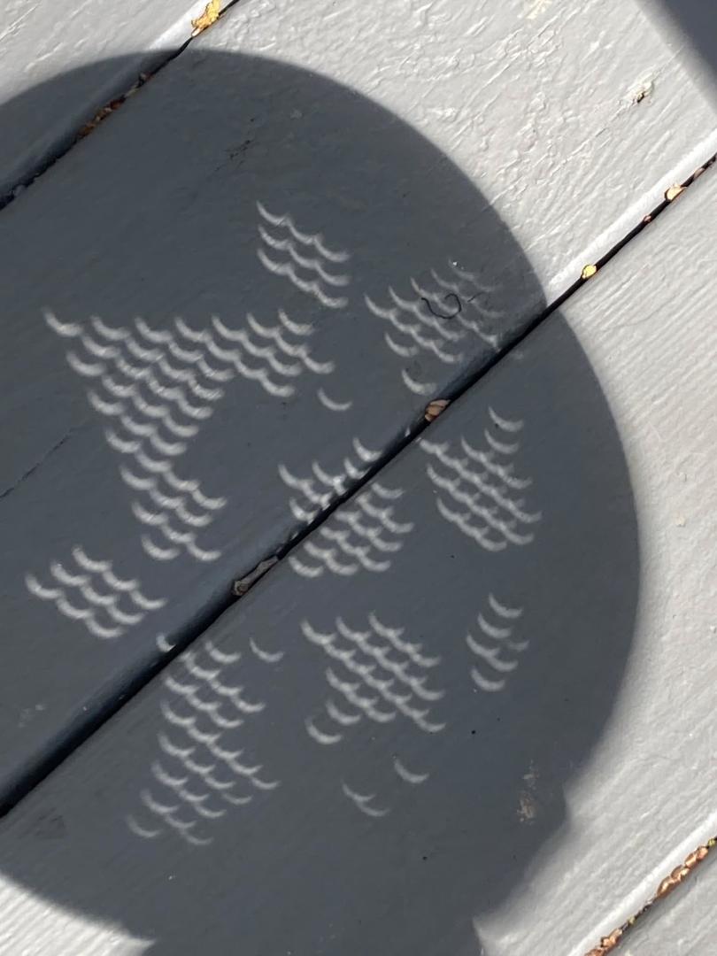 cool shadows!!!