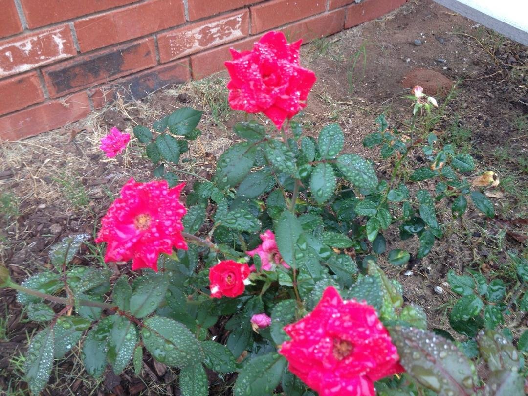 Cindy Smith's album, Timeline Photos