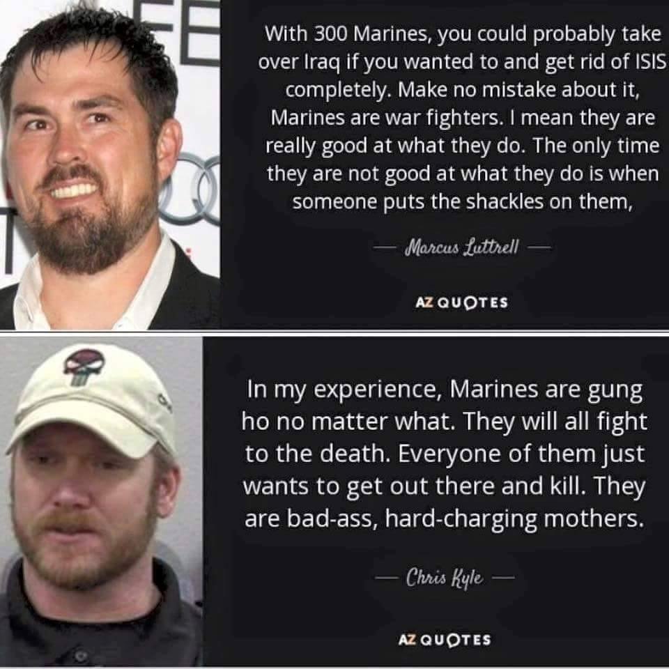 As quoted by two Great Navy SEALS...! (...Let me clarify: All the Navy SEALS are great. Marcus and Chris just happened to stand out because of what they went through, making them known to the public.)