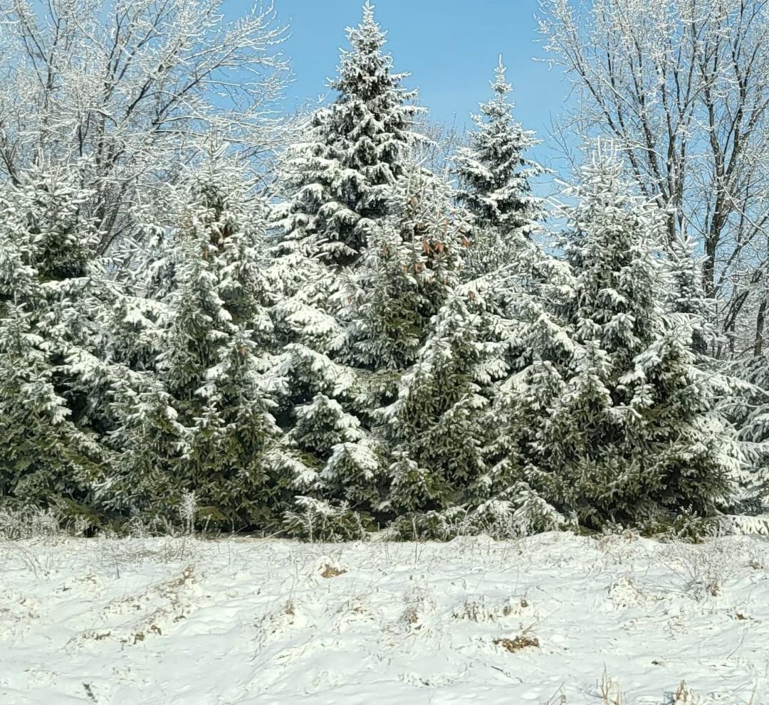 Heading in to snowy country!