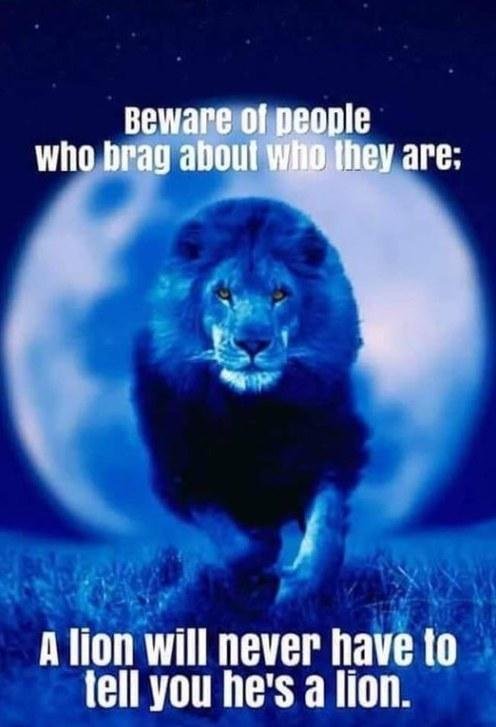 Alec Castle's album, Timeline photos