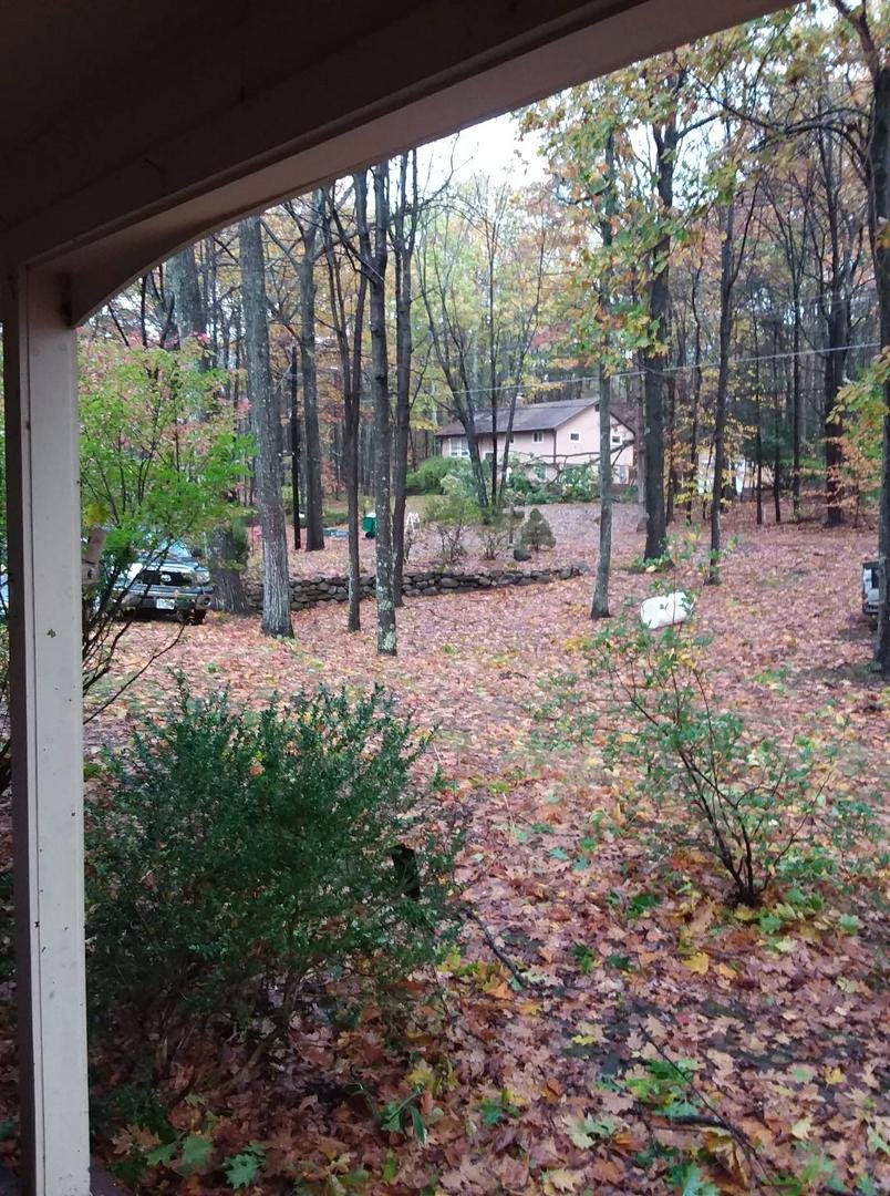 Yard across street.