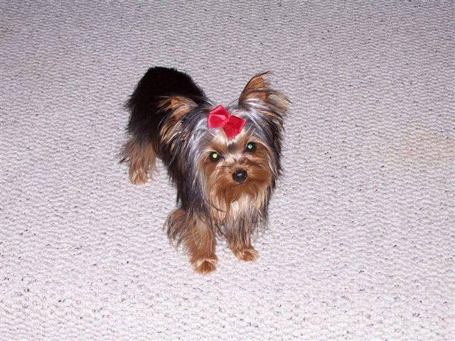 Kay Caldwell's album, Timeline Photos