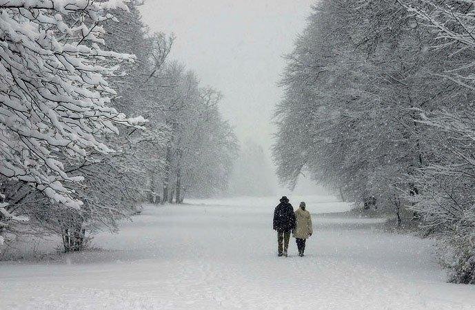 Always think about this poem at this time of year. It's beautifully written and I shed a tear every time I read it. Hope that you enjoy it as much as I do.



“Winter” 
... 
A poem by Anonymous



Damn! 
It's cold! 
The End
