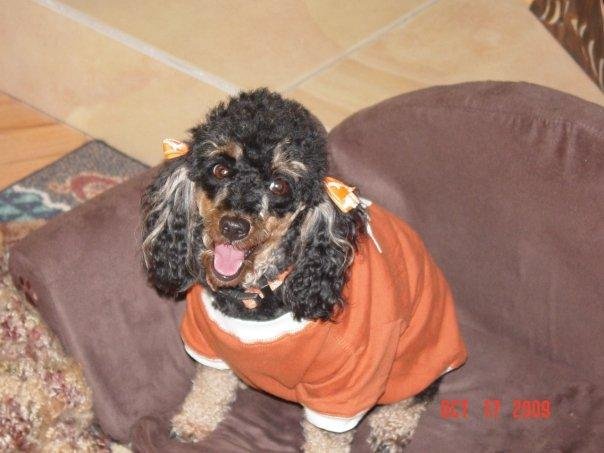 Christy Gibbon's album, Hook 'em!!!