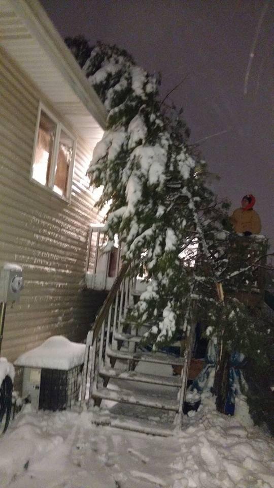 Well I had an evergreen tree with a lot of nests in it and the snow took it away. Hope there's no damage underneath.