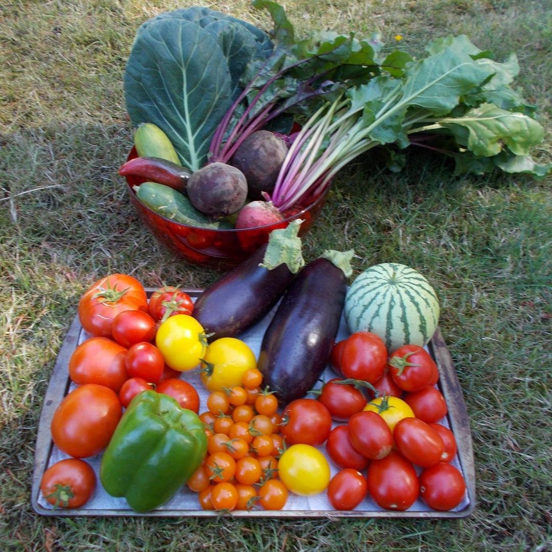 A few little goodies from my garden. Dinner tonight.