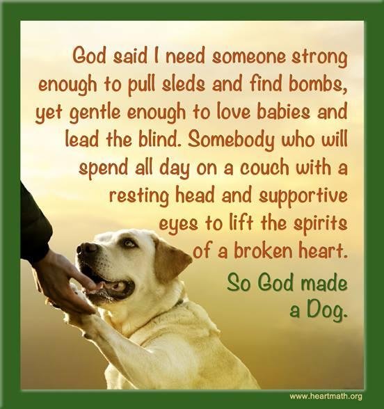Sandy Prybylek's album, Timeline Photos