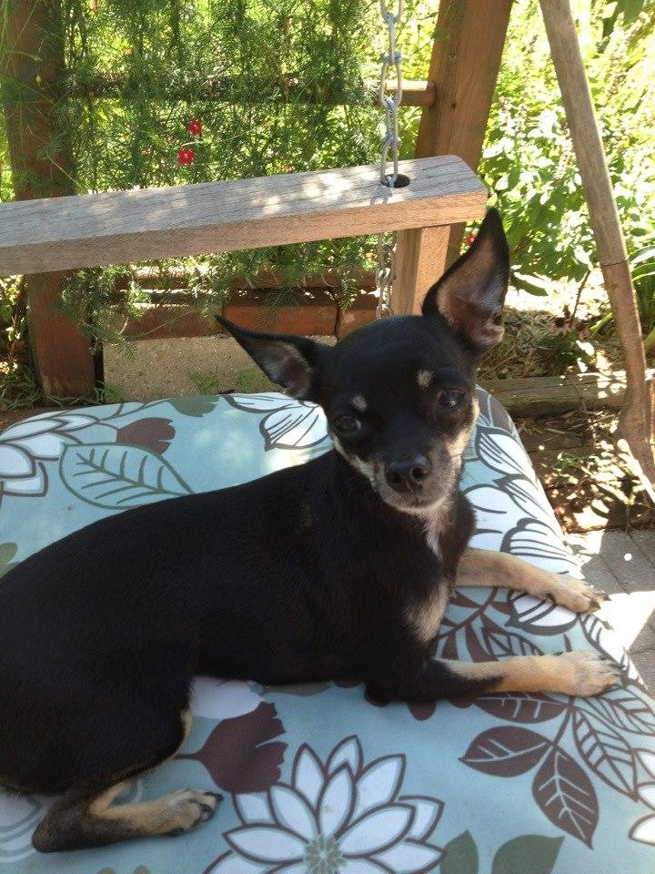 Swinging with my little Boo, Khloe. Enjoying the beautiful day!