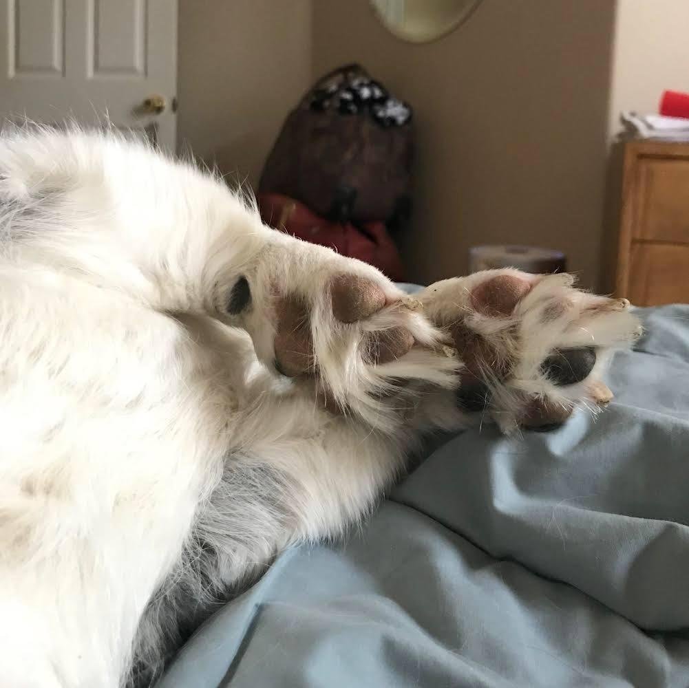 Those annoying toe hairs!
What’s a girl to do?
