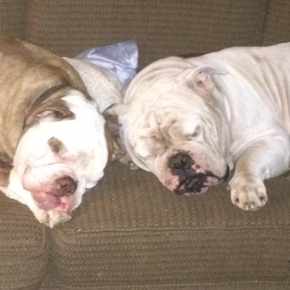 Miss Maya and Miles