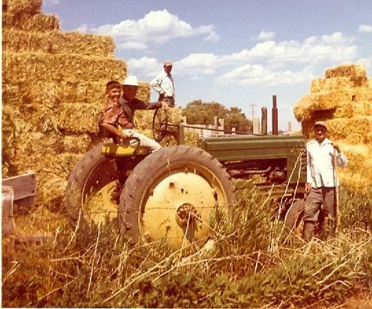 Reminders of the farm <3 <3