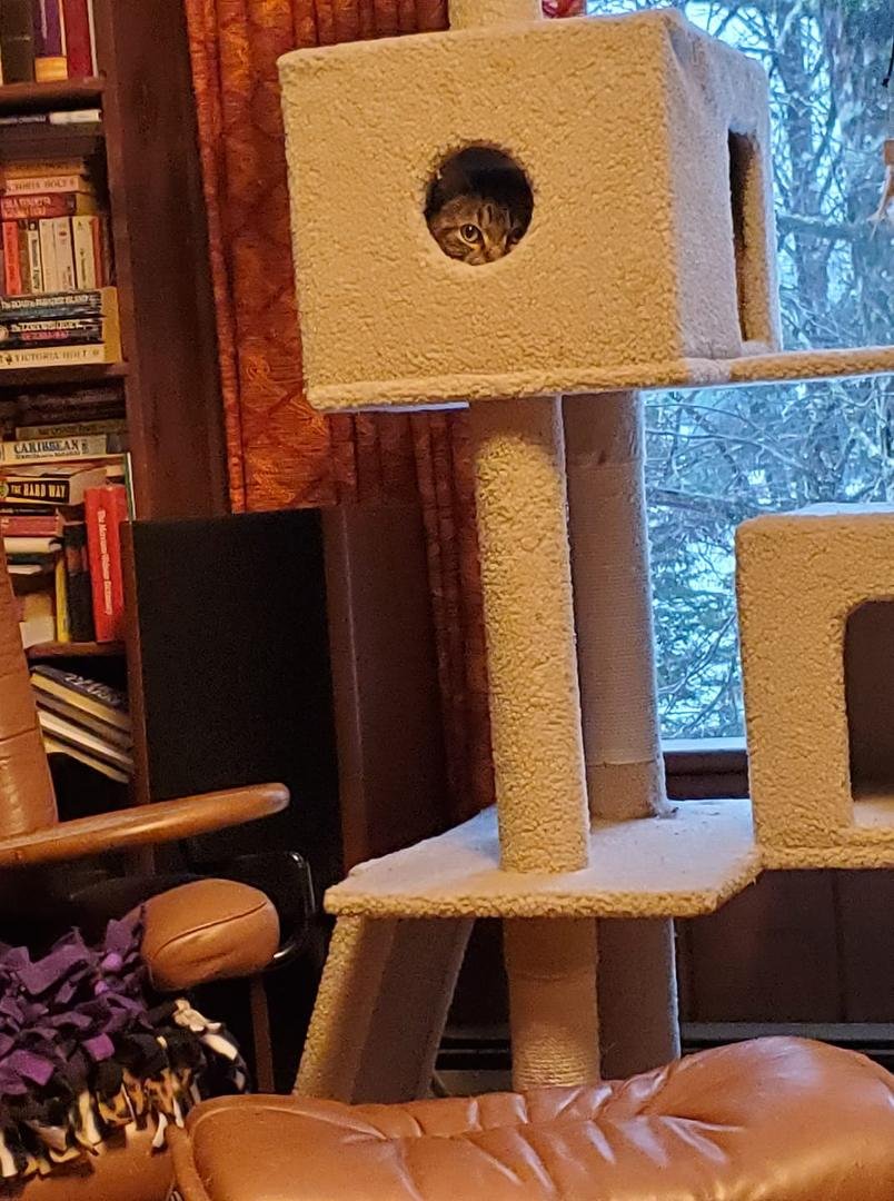 "Here's looking at you, kid."