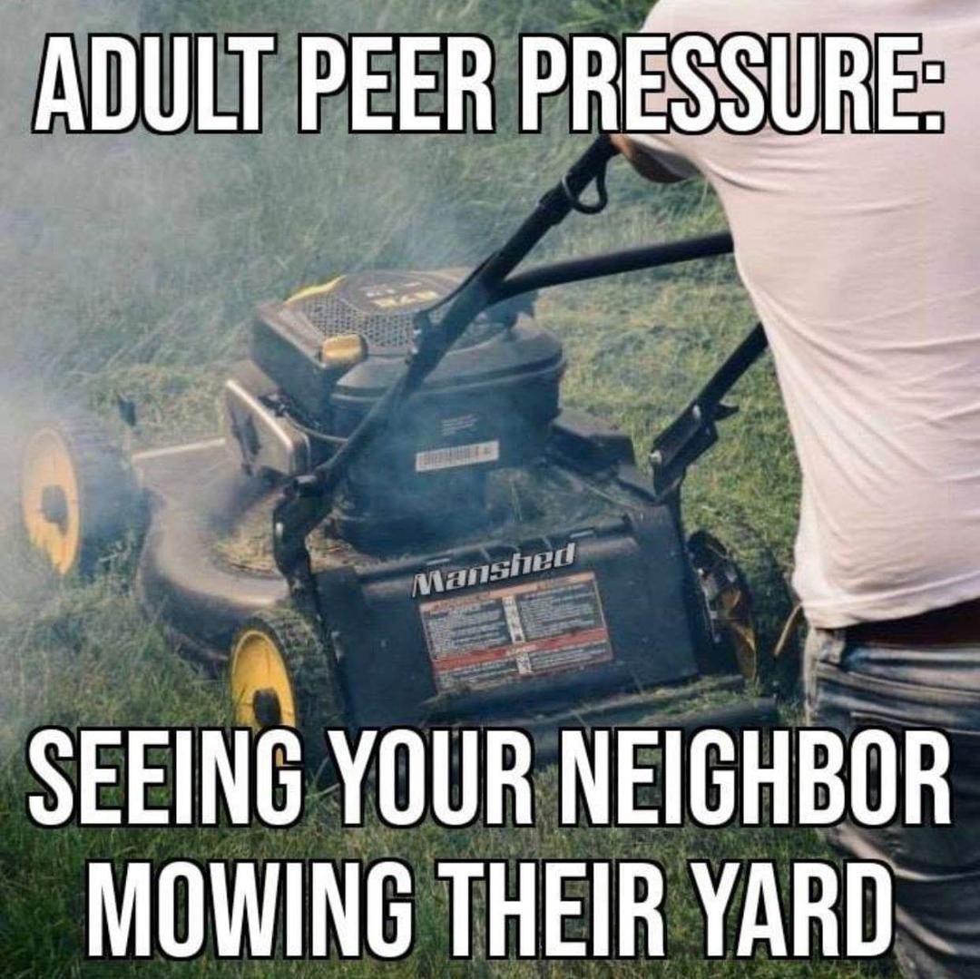 😂😂😂