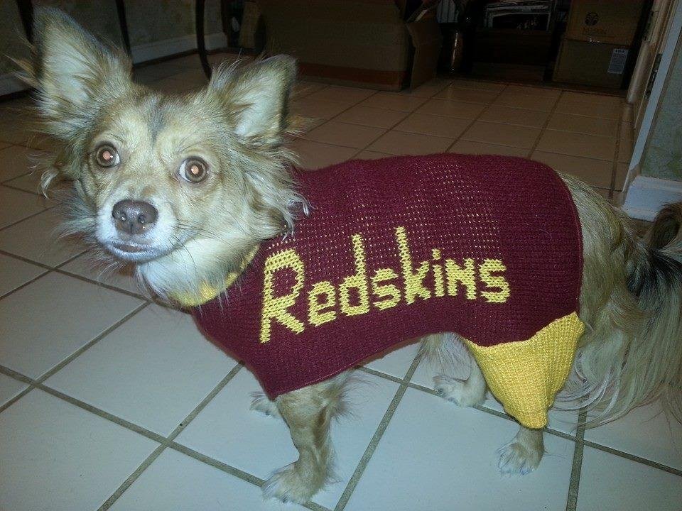 A new Redskin fan. Shutup, Ann Stein!
