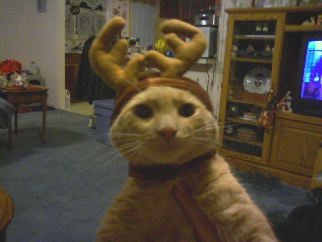 Tommy thinking he is Rudolph the Red-nosed Reindeer