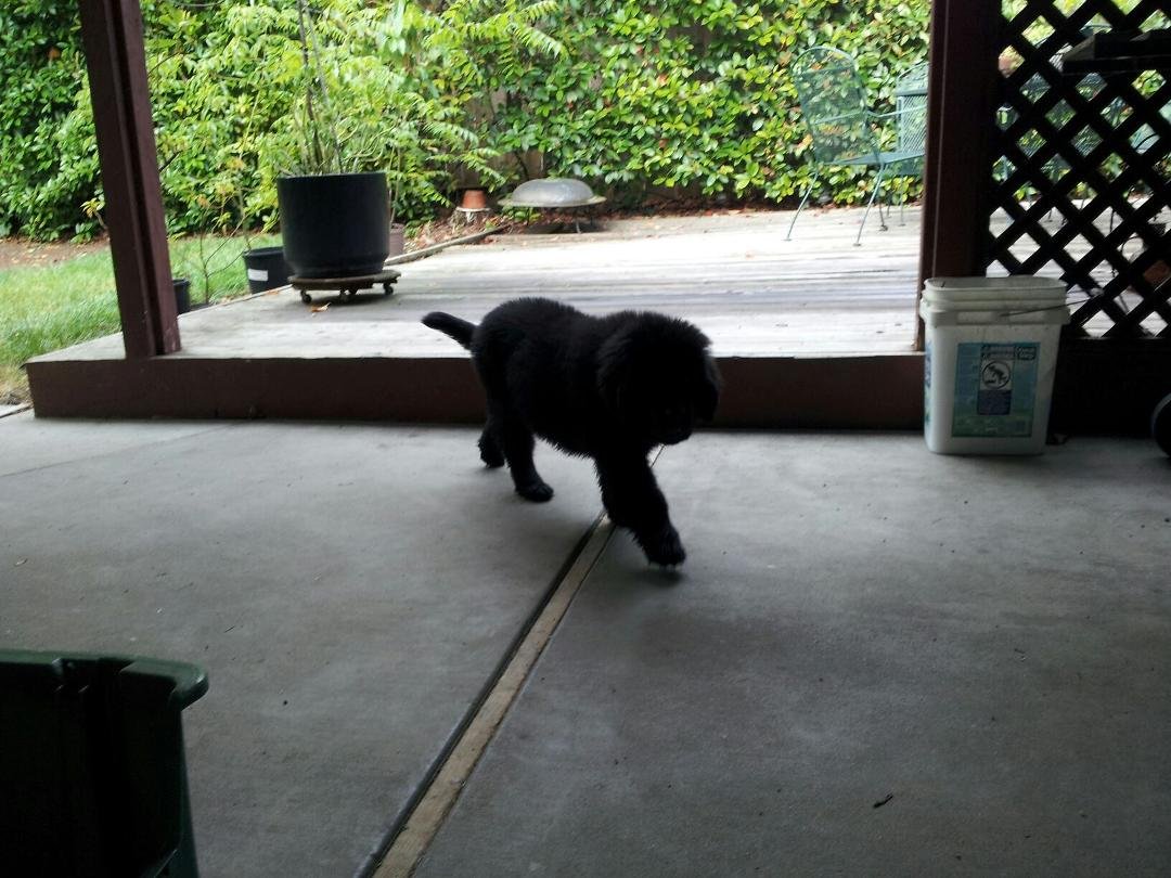 Maddy just went potty YEAH time for a treat