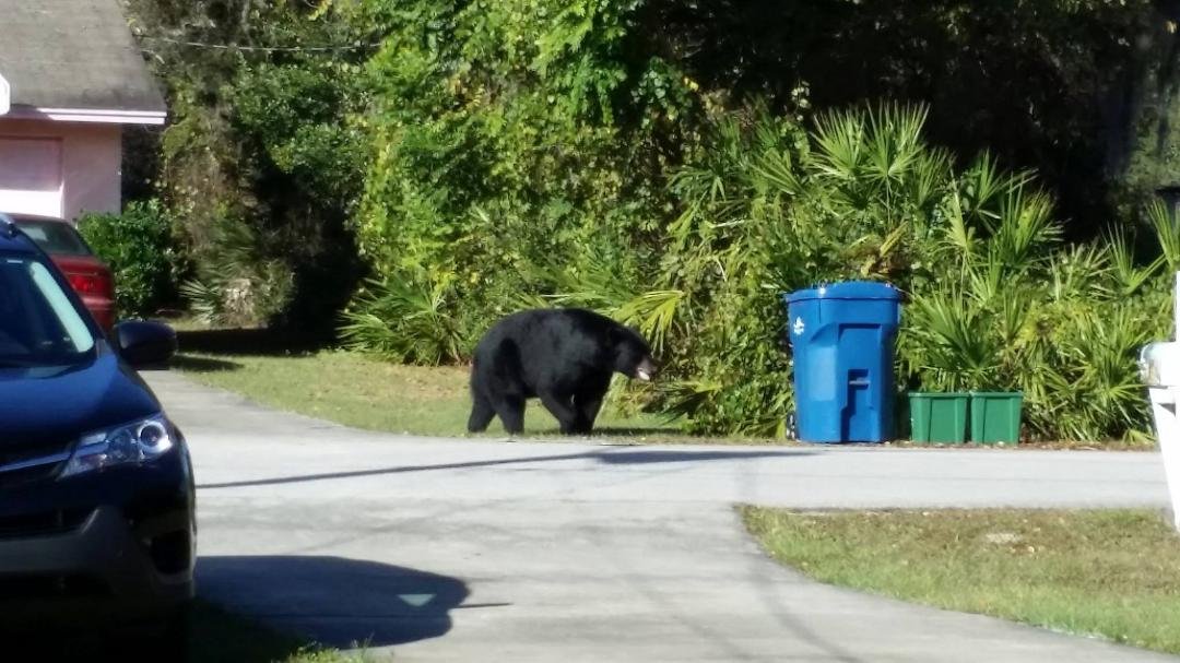Donna Germain's album, Timeline Photos