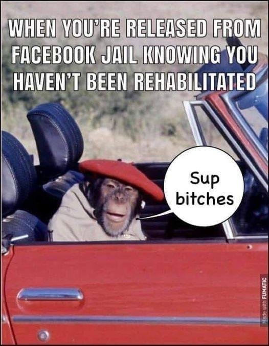 Fred Conquest's album, Timeline Photos