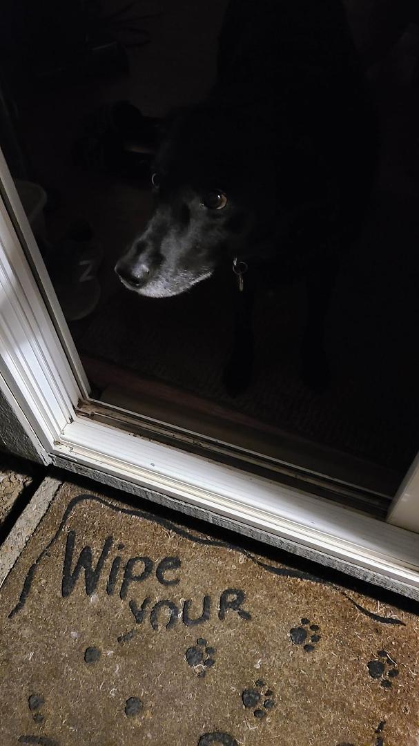 But Mommy, I don't want to come outside!