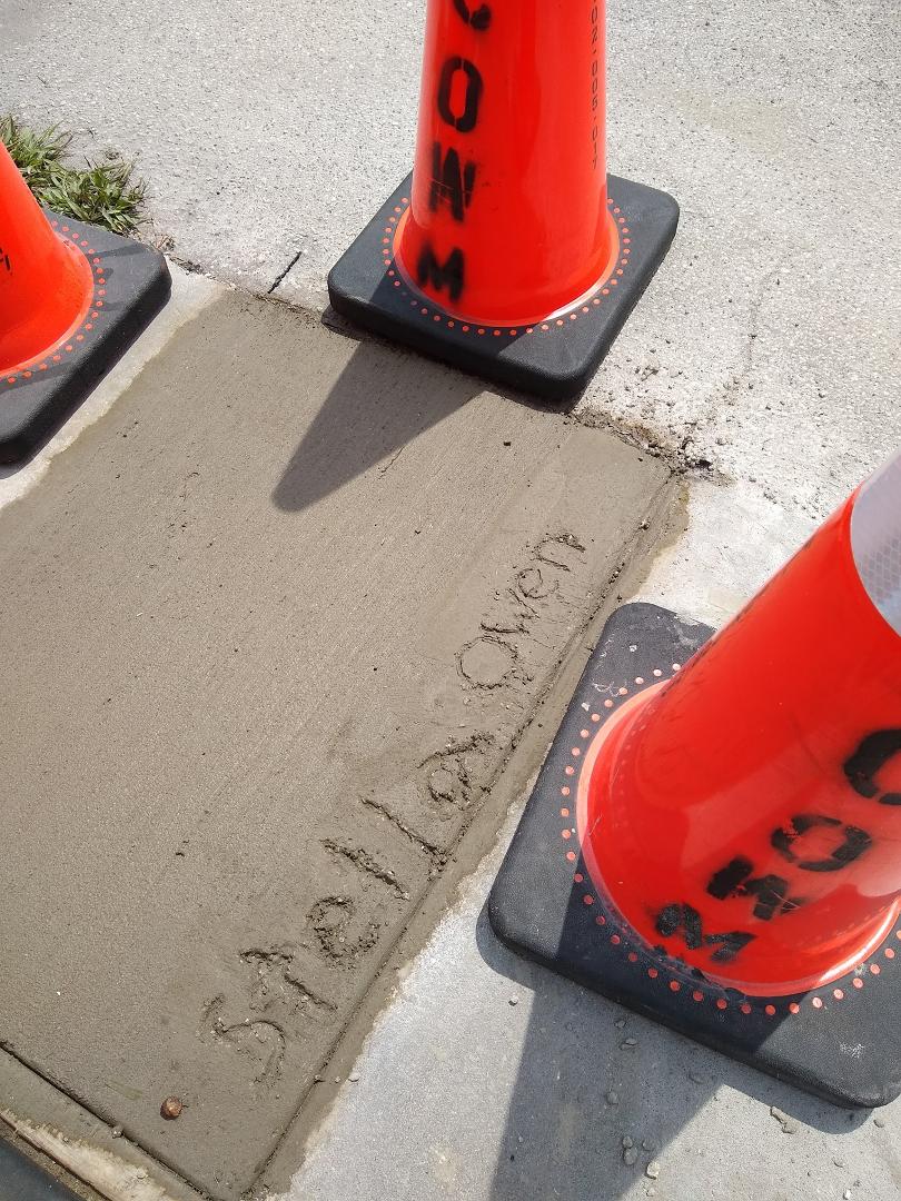 So these guys are visiting me Nice fresh cement. Gotta love them.😃😃