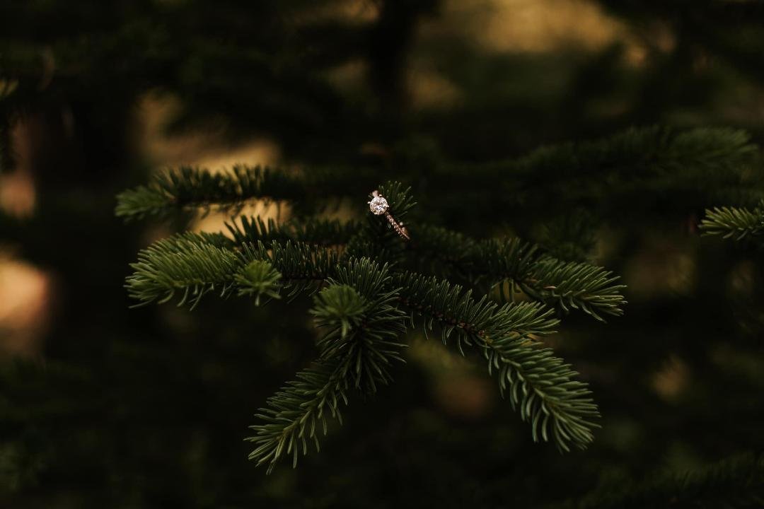 Dylan Penner's album, Engagement