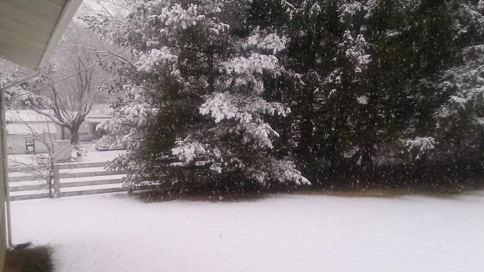 Tamara Matteson's album, Timeline Photos