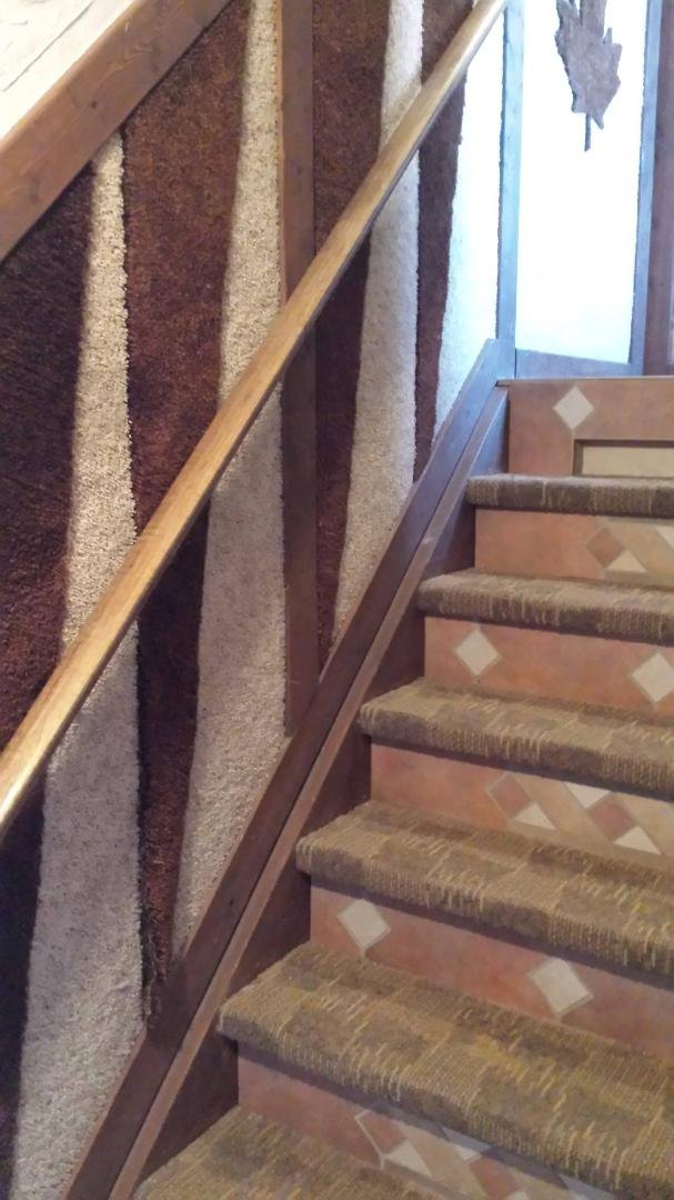 Is carpet on the walls making a comeback too??
