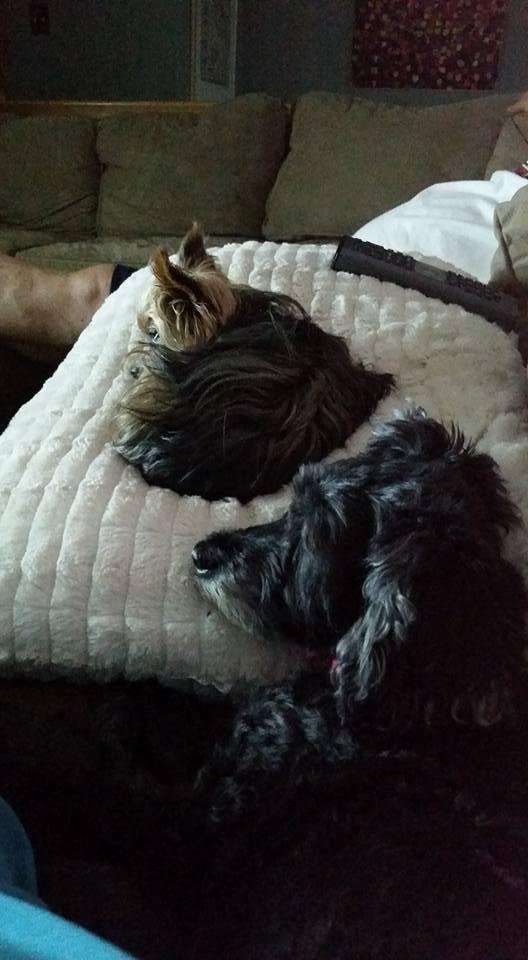 Penney Gaman's album, Mobile Uploads