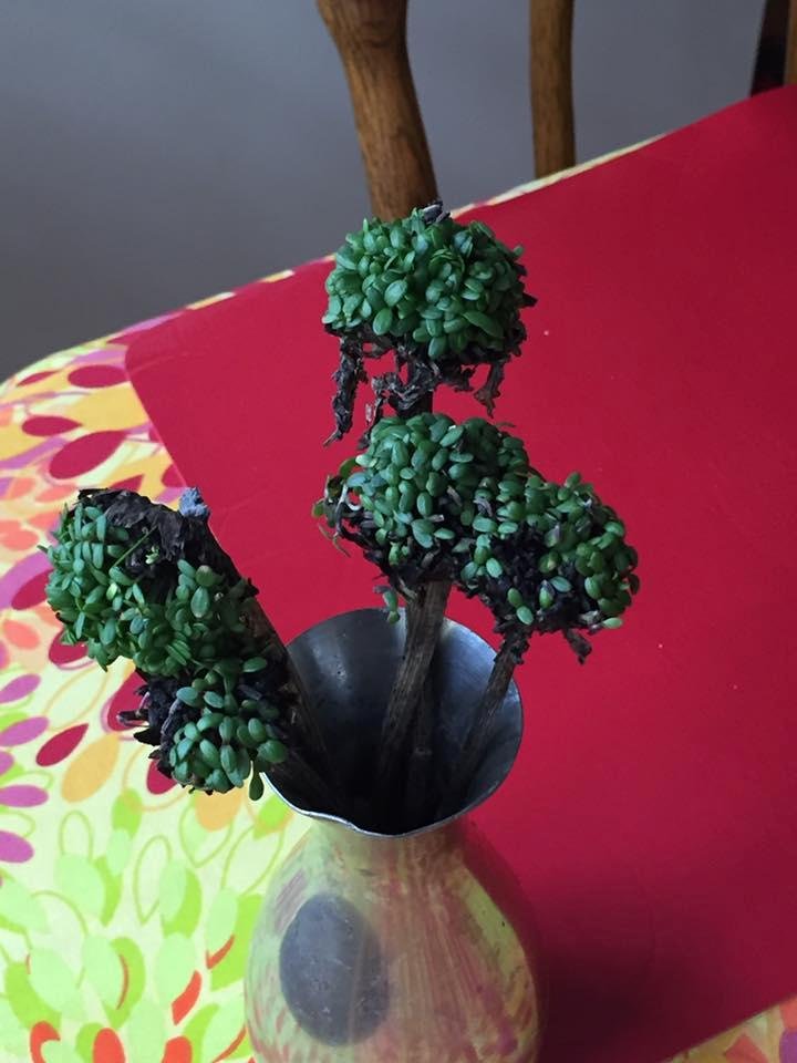 My bride found something interesting in the garden. Anyone know what this game is? She has a theory, but someone more learned could know better.