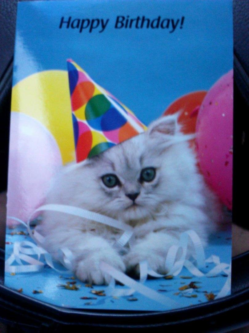 Wanda keefer's album, Mobile Uploads