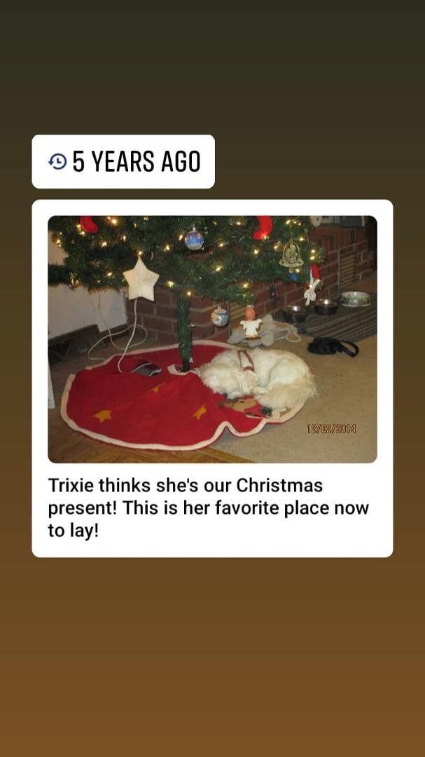 Barbara Sipes' album, Mobile Uploads