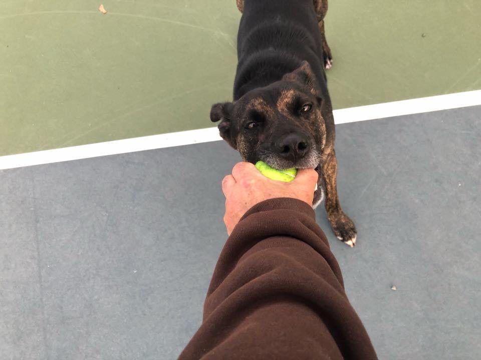 Remington and I playing ball.