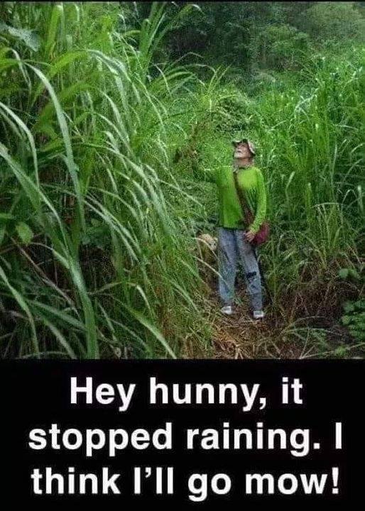 Only IN Australia!