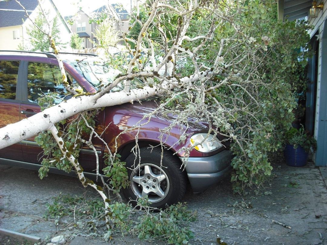 I'm enjoying the beautiful Autumn weather except for the gusty winds that felled a tree on my car, nevertheless the weatheri is perfect for October.