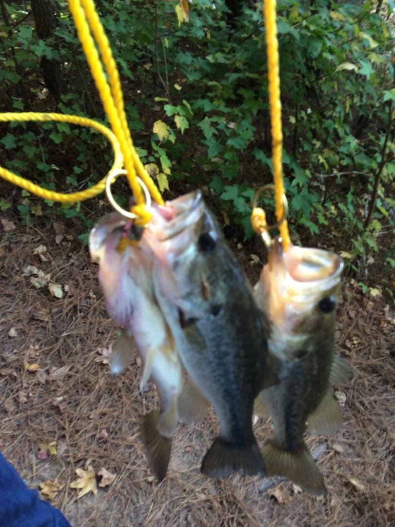 Fish Fry!!